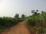 50304CIMG0933.JPG