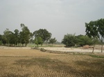 21885DSC08479.JPG
