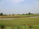 53865CIMG2343.JPG