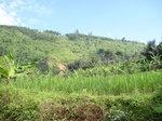 15144IMG_3964.JPG