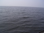 689R0015197.jpg