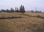 3163R0017197.JPG