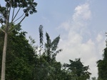 49518CIMG5855.JPG