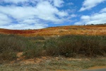 28627P1010644-1.JPG
