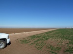 54044P1020208.JPG