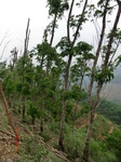 53576CIMG6927.JPG