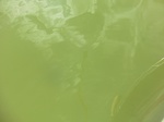 58228CIMG2675.JPG