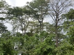 49553CIMG5890.JPG
