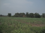 28280IMG_5050.JPG