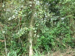 46247CIMG0536.JPG
