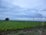 55968CIMG6646.JPG