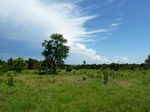 21584P1010408.JPG