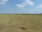 39257P1070703.JPG