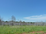 21634P1010460.JPG
