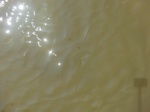 58552CIMG3002.JPG
