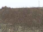 1690002052008(6).JPG