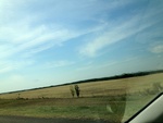 57808IMG_1118.JPG