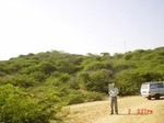 6449gt004-natural-hill-vegetation-1.jpg
