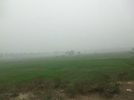 40092CIMG9157.JPG