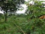 45356CIMG2441.JPG