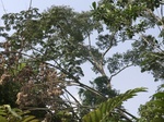 48514CIMG4851.JPG