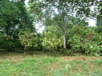 20655P1020512.JPG