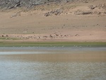 23164P1020695.JPG