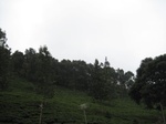 16455IMG_5240.JPG