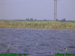 5942007-08-05_10-13-08_tag.jpg