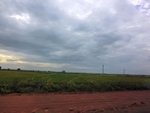 56024CIMG6713.JPG