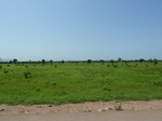 19519P1010366.JPG