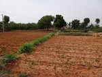 52193Tank ID 1800145 Kadirehalli 3.JPG