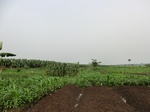 50766CIMG1395.JPG