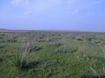 36776CIMG0546.JPG