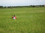 14294IMG_4634.JPG