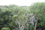 2024-10-10_17-11-55_490D9D88-D439-46FF-81AA-7F8FEA5E6470.jpeg