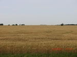 29624CIMG0893.JPG