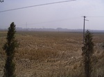 3303R0017337.JPG