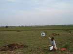 12892024c-irrigated-supplemental-rice-rainfall-dependent-tank-irrigation-2crops.gif