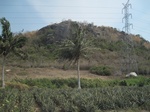 27847IMG_4799.JPG