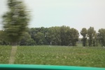 2024-08-05_15-52-15_E0AD9B98-776A-4A82-830E-75E7AC10C9F3.jpeg