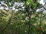 53773CIMG7184.JPG