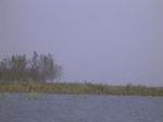 1365R0015132_small.jpg