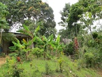 29579IMG_5209.JPG