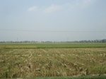 21853DSC08440.JPG