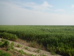 54325DSCN1599.JPG