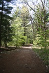 240IMG_4136.JPG