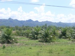 18130CentralThailand-1 (13).JPG