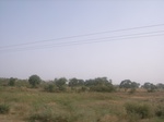 9092RIMG0172.JPG