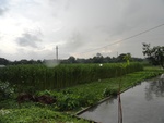 21948DSC00201.JPG